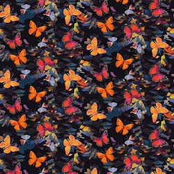 Black - Bold Butterflies